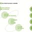 co-construire-cheminement.png